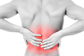 Curso Online: Low Back Pain